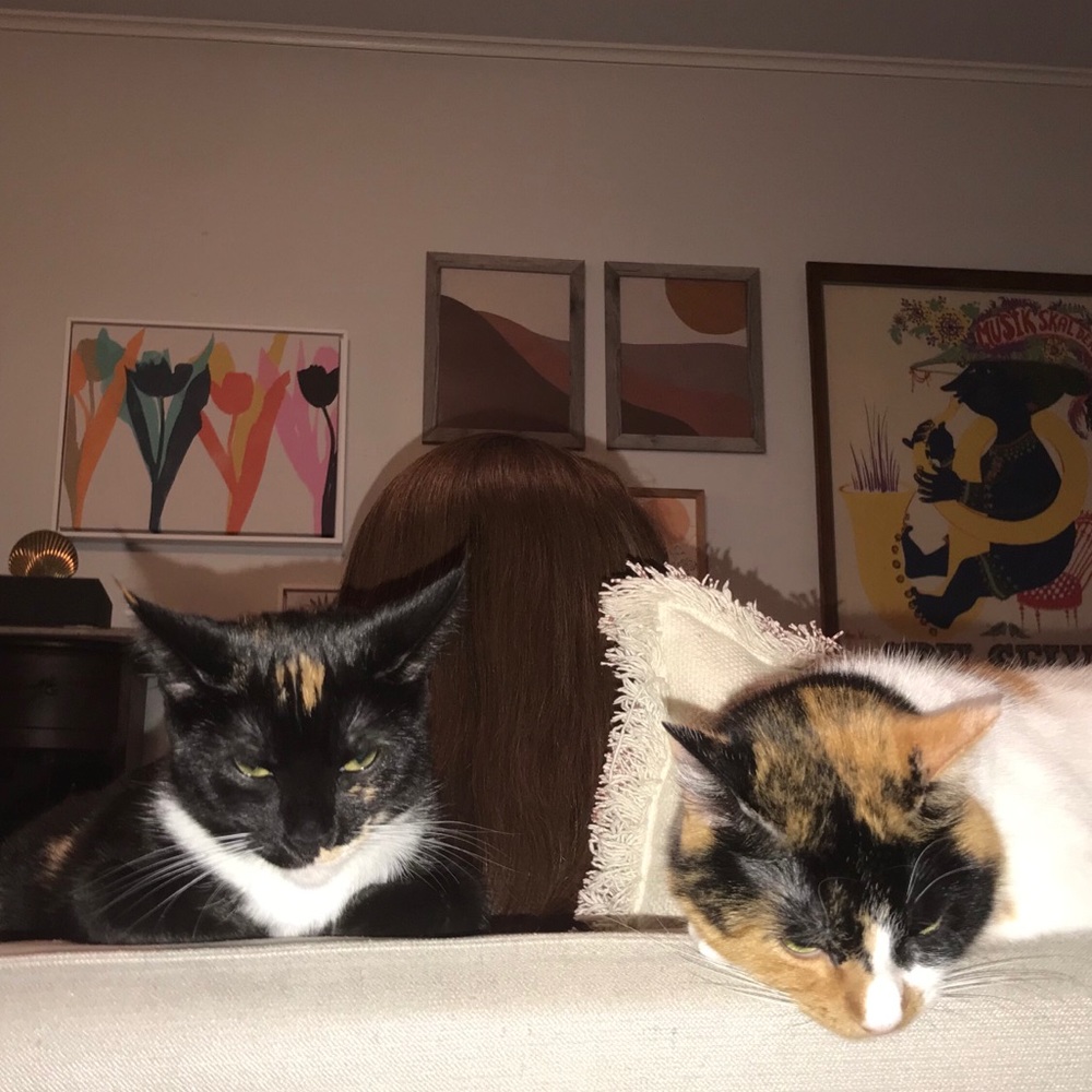 Meet your Posher, Aby